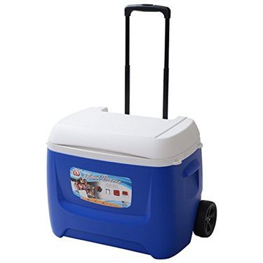 Igloo Island Breeze Coolbox 60 Roller