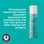 Wintergreen Joint Relief Spray