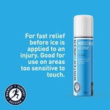Wintergreen Muscle Relief Ice Spray