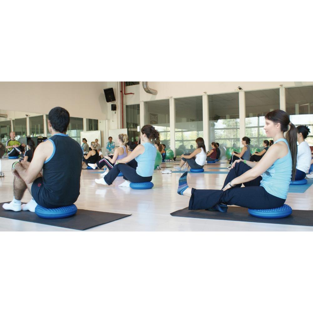 Gymnic Disc'o'Sit - Adult / Junior