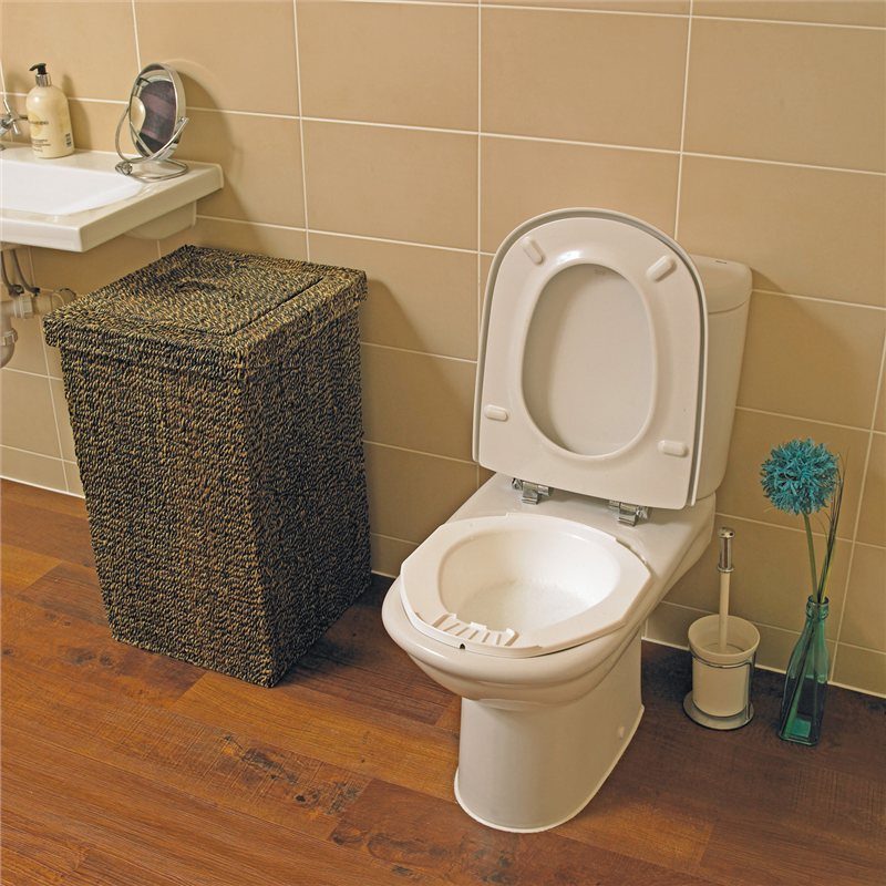 Portable bidet for standard toilet