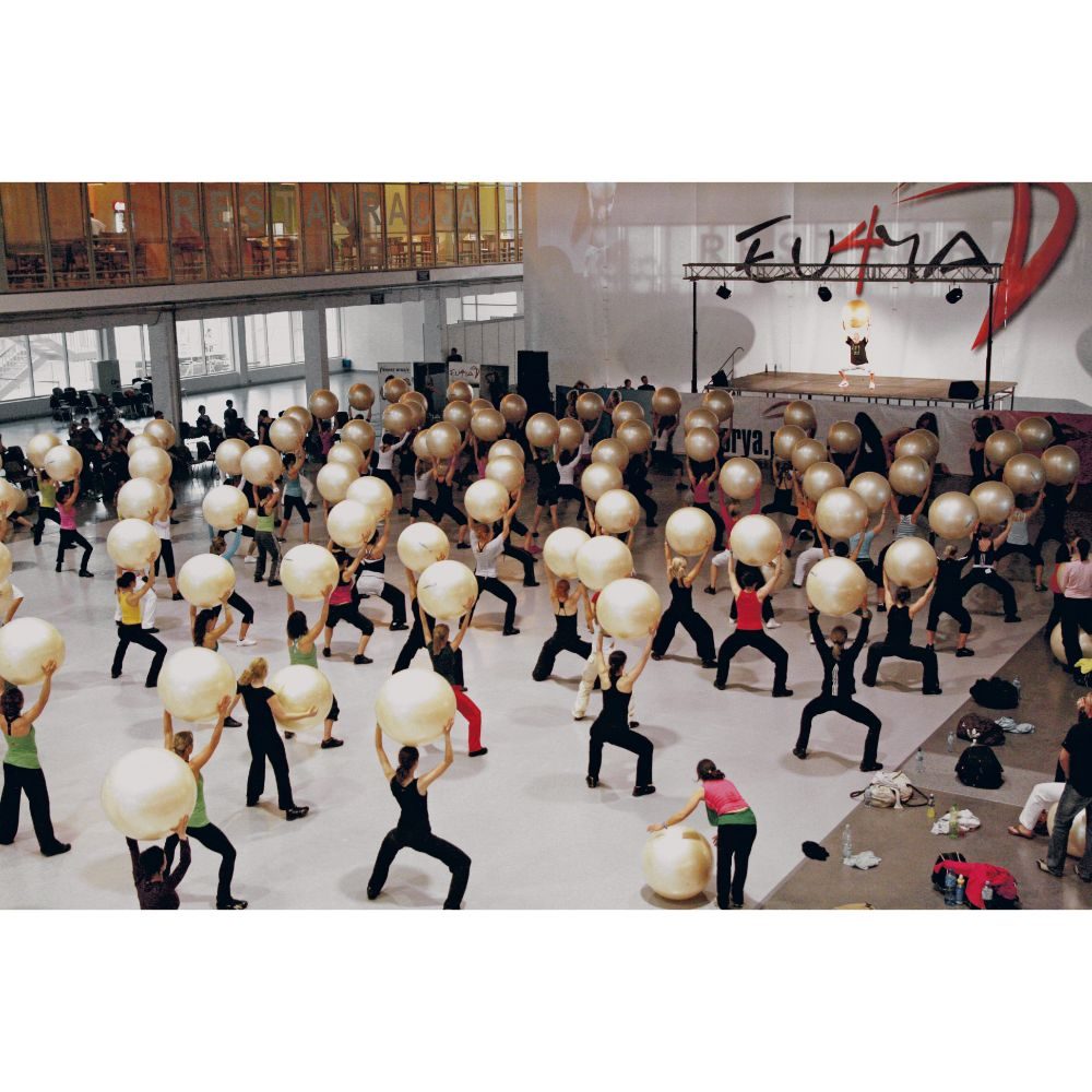 Gymnic Fit-Ball - Anti Burst Gym ball - 55, 65 or 75cm