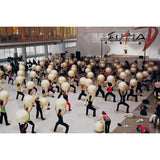 Gymnic Fit-Ball - Anti Burst Gym ball - 55, 65 or 75cm