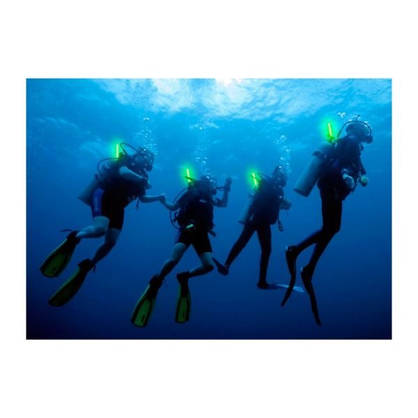 15cm Cyalume Glow Stick Snaplight pack of 10 - Green