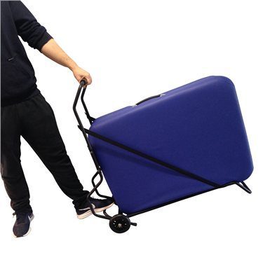 Therapy in Motion Couch Transporter